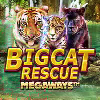 Big Cat Rescue Megaways in New_Games