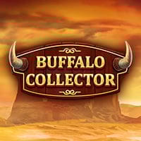 Buffalo Collector in New_Games