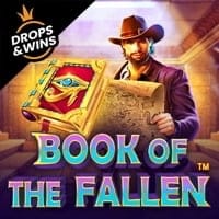Book of the Fallen in za_dropsandwins