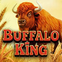 Buffalo King in sub_classics