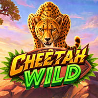 Cheetah Wild in Sub_AllNewGames