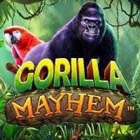 Gorilla Mayhem in All Slots