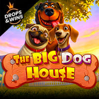 The Big Dog House in Sub_AllNewGames