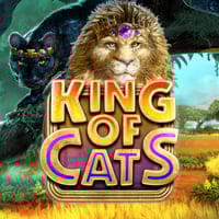 King Of Cats in New_Games